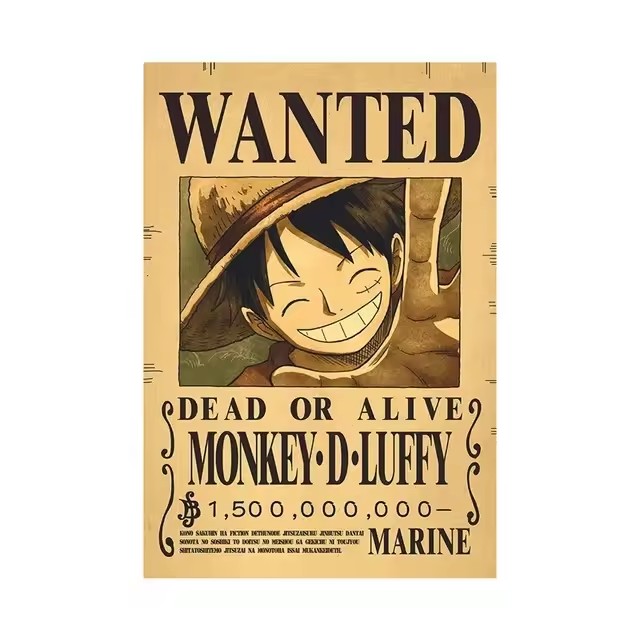 Anime One Piece Bounty Wanted  - огляд і ціна Vintage Toy Collector